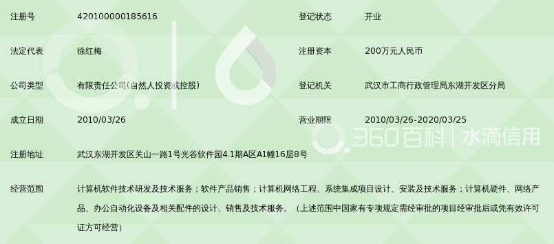 武汉特盟信息技术 深耕计算机系统服务，赋能企业数字化基石